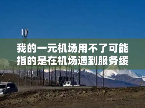 我的一元机场用不了可能指的是在机场遇到服务缓慢或流程繁琐的情况，导致用户无法及时办理手续或完成行程。以下是一些可能的解决方案