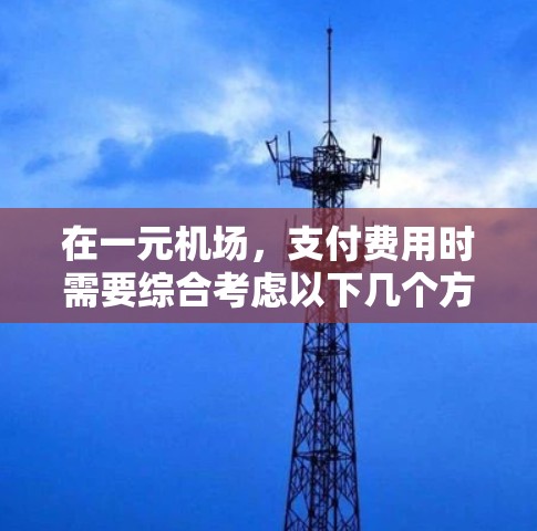 在一元机场，支付费用时需要综合考虑以下几个方面