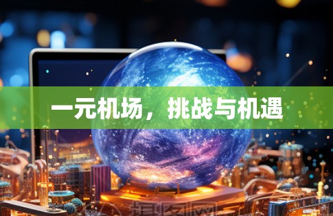 一元机场，挑战与机遇