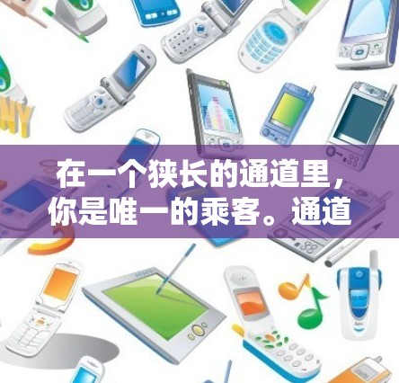 在一个狭长的通道里，你是唯一的乘客。通道的入口处，有一道道暗红色的线条，将通道分成三个区域，虚拟现实体验区、记忆点展示区和专机展示区。你只能选择进入其中一个区域，但每个区域都有独特的魅力