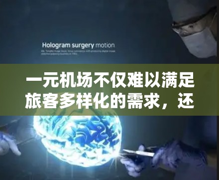 一元机场不仅难以满足旅客多样化的需求，还可能带来效率低下和旅客体验不佳的问题。以下是详细的分析