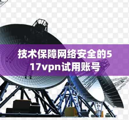 技术保障网络安全的517vpn试用账号