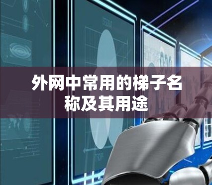 外网中常用的梯子名称及其用途