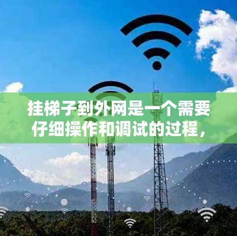 挂梯子到外网是一个需要仔细操作和调试的过程，以下是详细的步骤指南