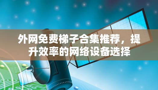 外网免费梯子合集推荐，提升效率的网络设备选择