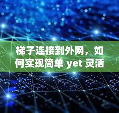 梯子连接到外网，如何实现简单 yet 灵活 的网关配置