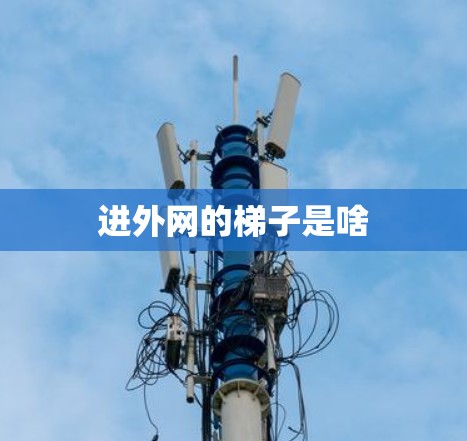 进外网的梯子是啥