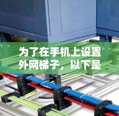 为了在手机上设置外网梯子，以下是一个清晰的步骤指南