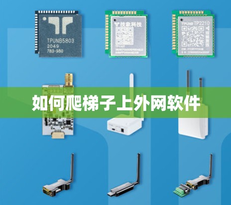 如何爬梯子上外网软件