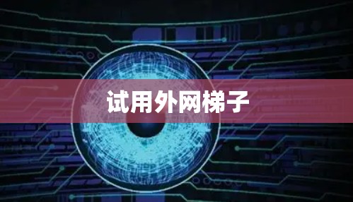 试用外网梯子