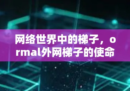 网络世界中的梯子，ormal外网梯子的使命与担当