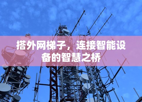 搭外网梯子，连接智能设备的智慧之桥