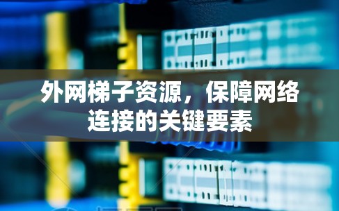 外网梯子资源，保障网络连接的关键要素