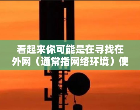 看起来你可能是在寻找在外网（通常指网络环境）使用梯子的推荐。梯子通常用于在建筑物或结构中爬升或攀爬，因此需要考虑以下因素
