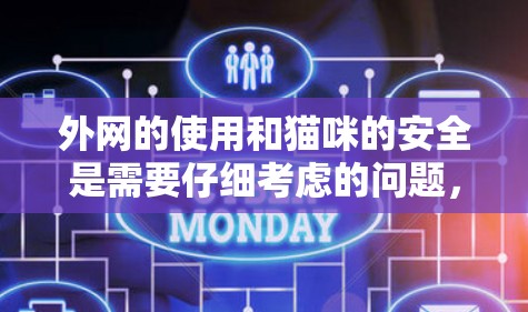 外网的使用和猫咪的安全是需要仔细考虑的问题，以下是一些实用的建议和技巧