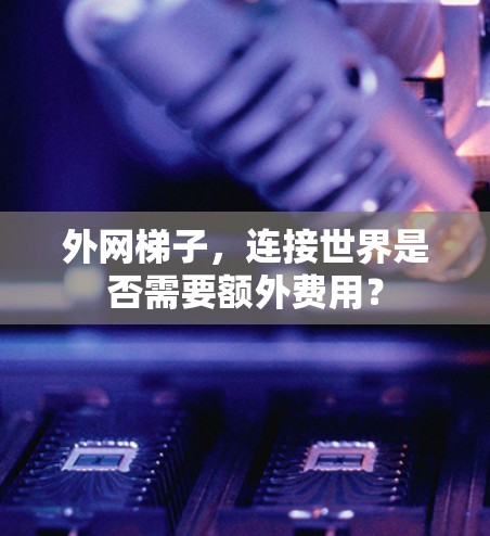 外网梯子，连接世界是否需要额外费用？