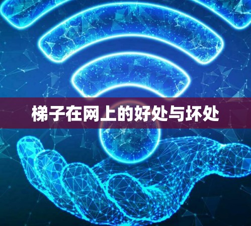 梯子在网上的好处与坏处