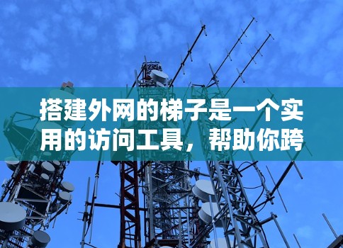 搭建外网的梯子是一个实用的访问工具，帮助你跨越网页之间，实现跨站脚本、动态内容访问等需求。以下是一个详细的学习步骤指南