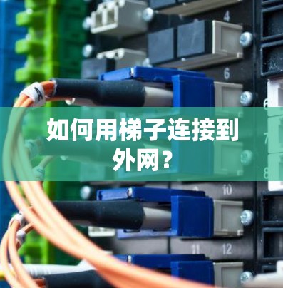 如何用梯子连接到外网？
