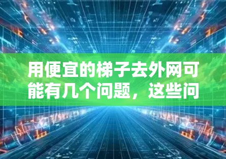 用便宜的梯子去外网可能有几个问题，这些问题可能影响外网搜索结果的质量。以下是详细的分析和建议