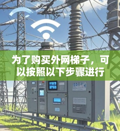 为了购买外网梯子，可以按照以下步骤进行