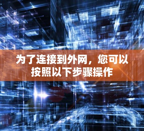 为了连接到外网，您可以按照以下步骤操作