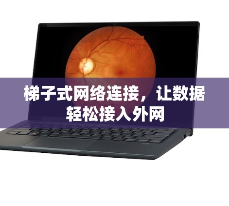 梯子式网络连接，让数据轻松接入外网