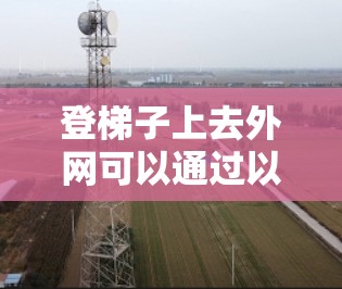 登梯子上去外网可以通过以下步骤进行，确保安全且有效
