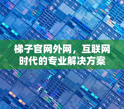 梯子官网外网，互联网时代的专业解决方案
