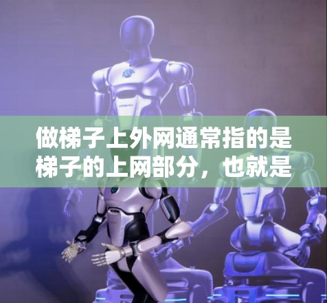 做梯子上外网通常指的是梯子的上网部分，也就是梯子的侧板或框架部分。以下是一些相关的服务内容和建议