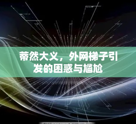 蒂然大义，外网梯子引发的困惑与尴尬