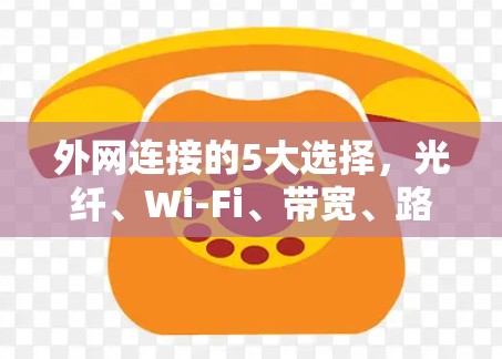 外网连接的5大选择，光纤、Wi-Fi、带宽、路由器和网线