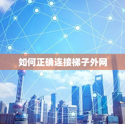 如何正确连接梯子外网
