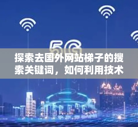 探索去国外网站梯子的搜索关键词，如何利用技术工具提升购物效率