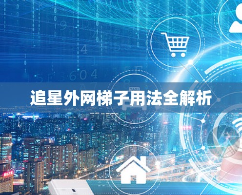 追星外网梯子用法全解析