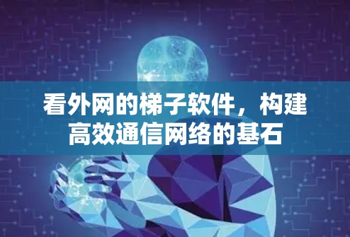 看外网的梯子软件，构建高效通信网络的基石