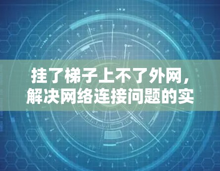 挂了梯子上不了外网，解决网络连接问题的实用指南