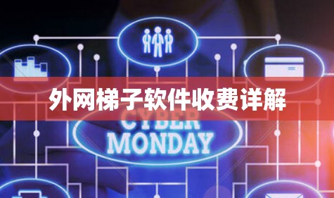 外网梯子软件收费详解