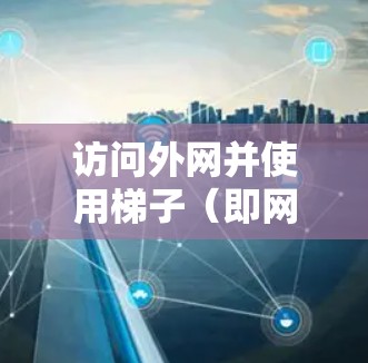 访问外网并使用梯子（即网络连接机制）时，通常需要以下步骤