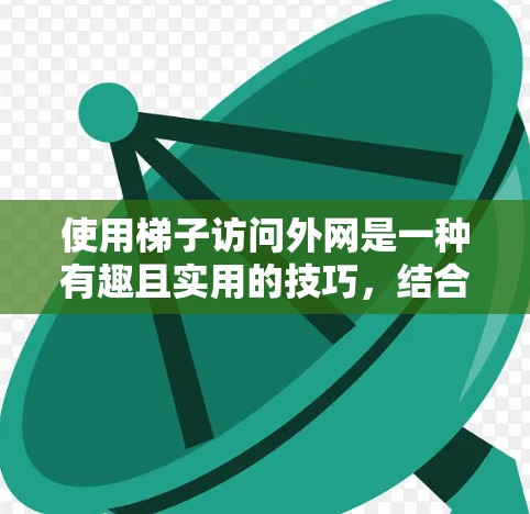 使用梯子访问外网是一种有趣且实用的技巧，结合了物理和工具使用。以下是对使用梯子访问外网的详细指南