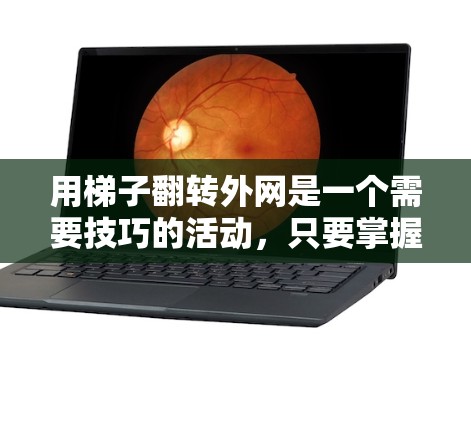 用梯子翻转外网是一个需要技巧的活动，只要掌握了正确的步骤和准备，是可以成功的。以下是一些建议和步骤，帮助您顺利完成梯子翻转