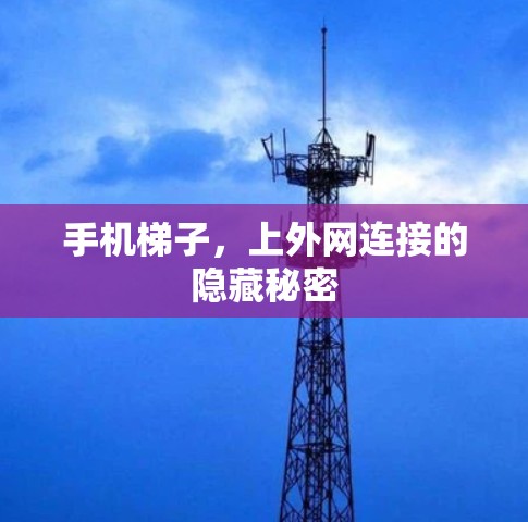 手机梯子，上外网连接的隐藏秘密