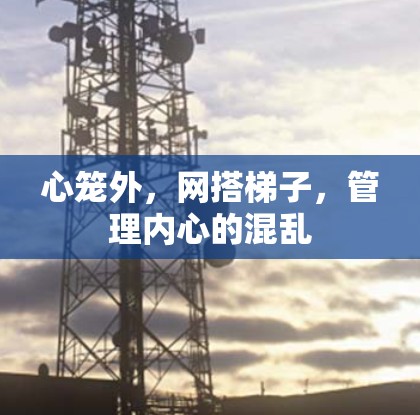 心笼外，网搭梯子，管理内心的混乱