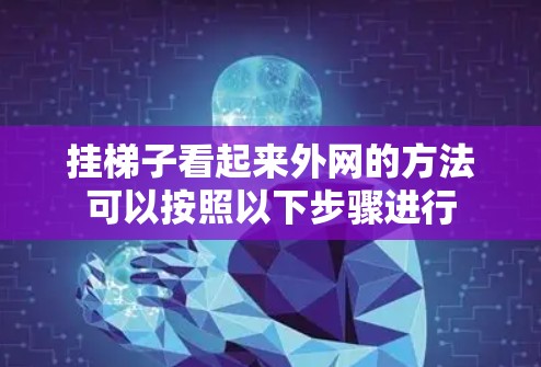 挂梯子看起来外网的方法可以按照以下步骤进行
