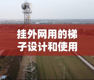 挂外网用的梯子设计和使用需要考虑多个因素以确保其在户外环境中的稳定性、强度和适应性。以下是对这一问题的分步解释