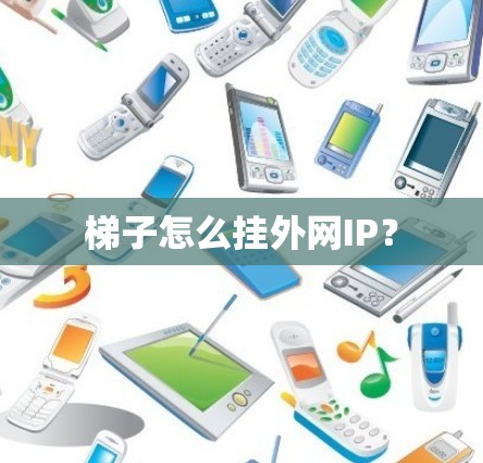 梯子怎么挂外网IP？
