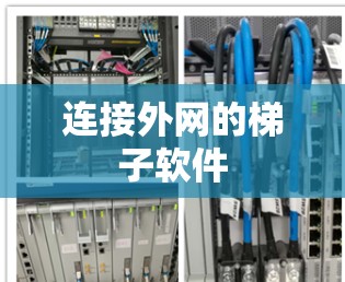 连接外网的梯子软件