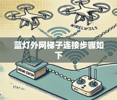 蓝灯外网梯子连接步骤如下