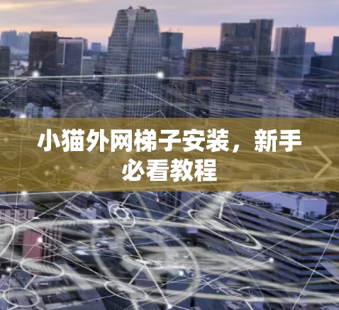 小猫外网梯子安装，新手必看教程