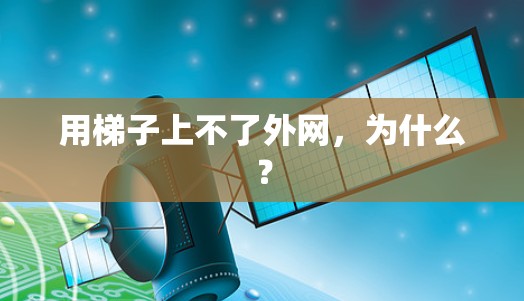 用梯子上不了外网，为什么？